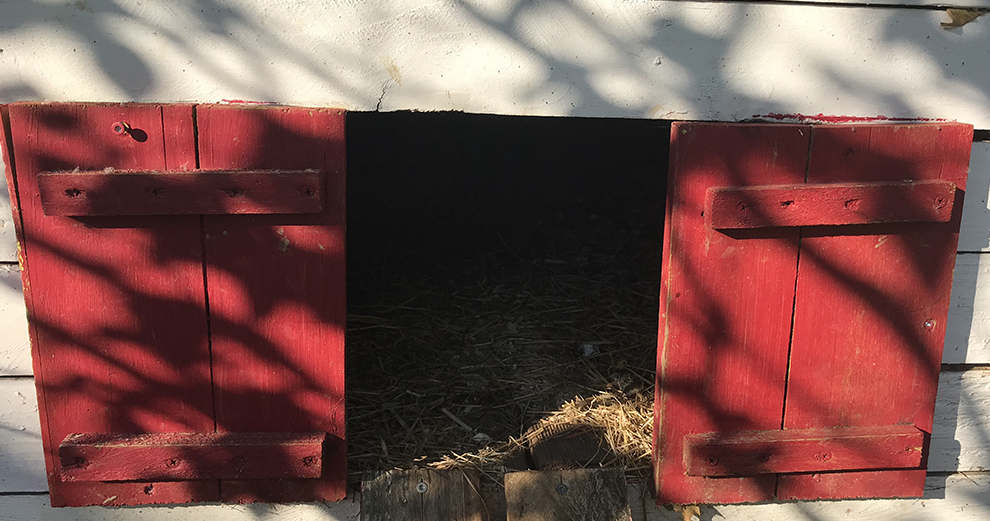 chicken-guard-test-intallation-emplacement-porte-avant