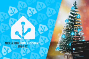 home-assistant-maj-2024-12-decembre-noel